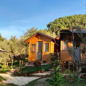 Bujtina Musta Berat
